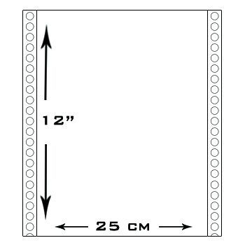 1000 Formularios Continuos medida 12¨x 25cm impreso a 1 color x duplicado